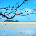 สมาชิกหมายเลข 4891106