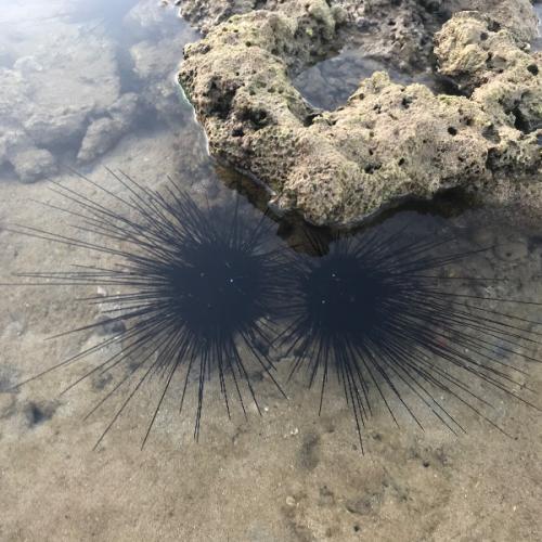 สมาชิกหมายเลข 1230643