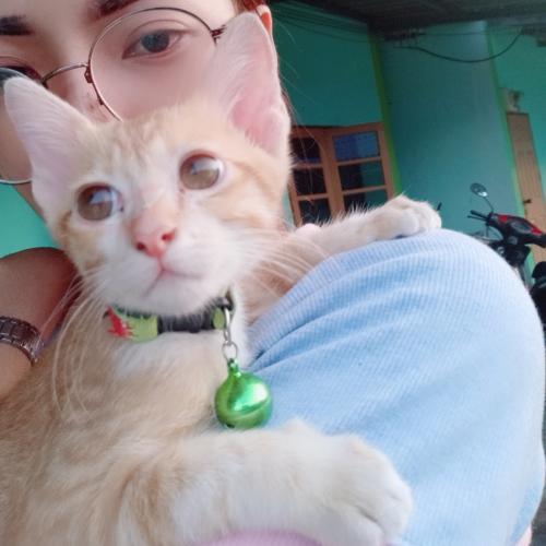 สมาชิกหมายเลข 2508286