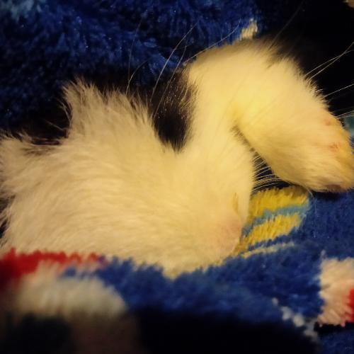 สมาชิกหมายเลข 5257056