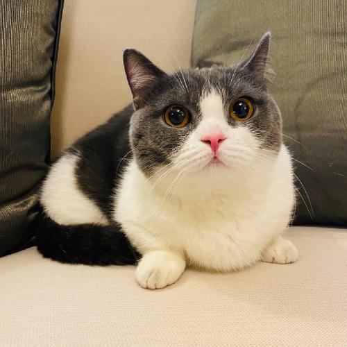 สมาชิกหมายเลข 5735967