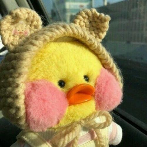 สมาชิกหมายเลข 3777899