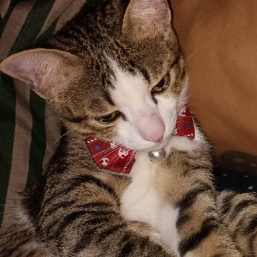 สมาชิกหมายเลข 8731120