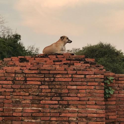 สมาชิกหมายเลข 4534927