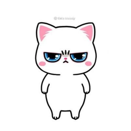 สมาชิกหมายเลข 4551072