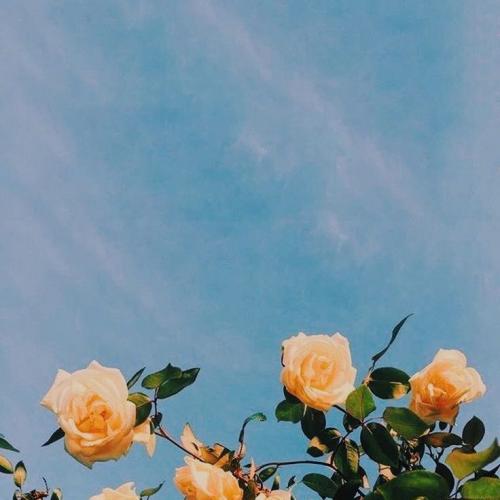 สมาชิกหมายเลข 3444869