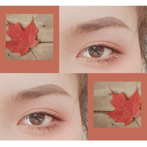 สมาชิกหมายเลข 4249660