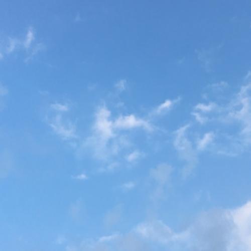 สมาชิกหมายเลข 4279344