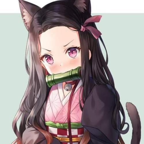 สมาชิกหมายเลข 5594016