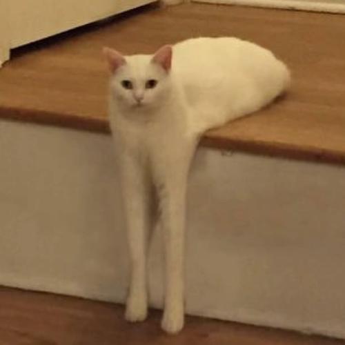 สมาชิกหมายเลข 7001479