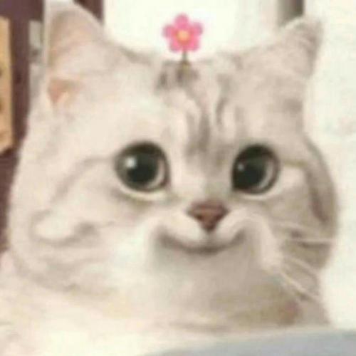 สมาชิกหมายเลข 6627210