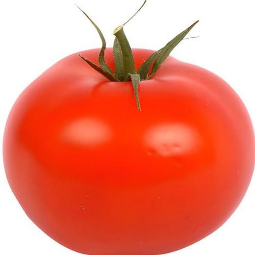 สมาชิกหมายเลข 7142487