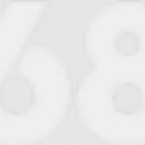 สมาชิกหมายเลข 8731995