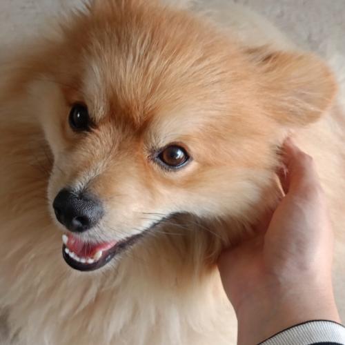 สมาชิกหมายเลข 8732470