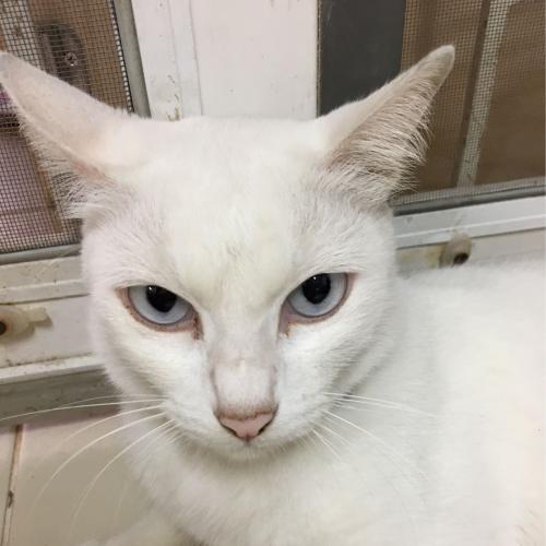 สมาชิกหมายเลข 1217149