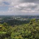 สมาชิกหมายเลข 2489998