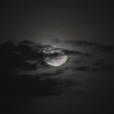 สมาชิกหมายเลข 3983864