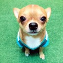 สมาชิกหมายเลข 4127143