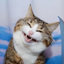 สมาชิกหมายเลข 3262650