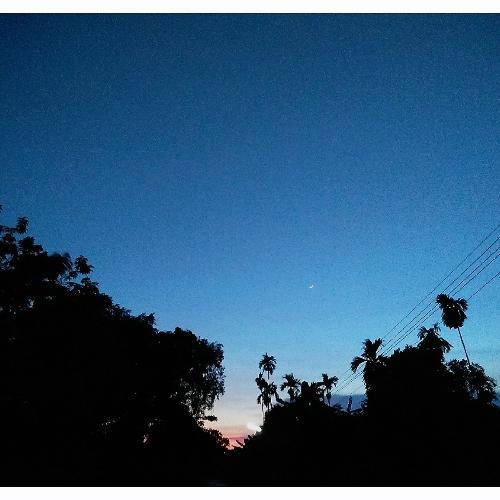 สมาชิกหมายเลข 4882619