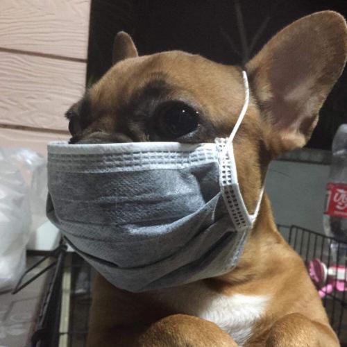 สมาชิกหมายเลข 3699872