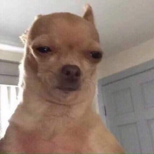 สมาชิกหมายเลข 5276379