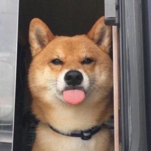 สมาชิกหมายเลข 5287617