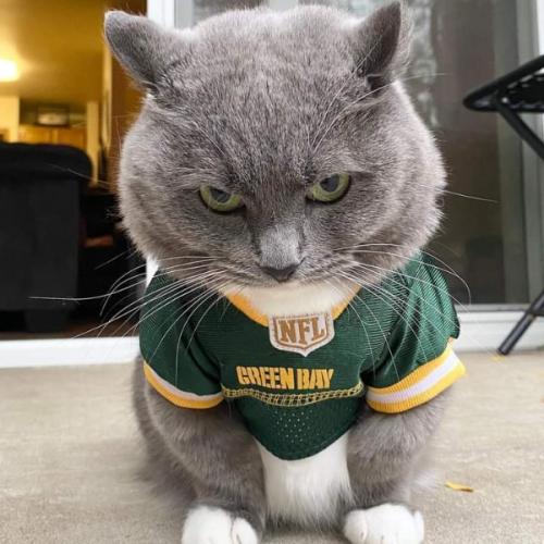 สมาชิกหมายเลข 4818616