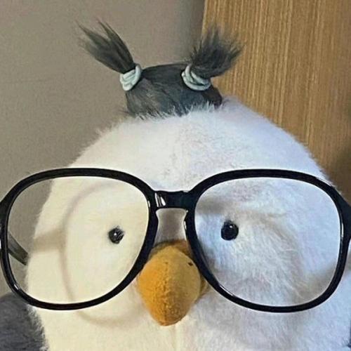 สมาชิกหมายเลข 8732797