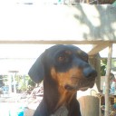 สมาชิกหมายเลข 3664008