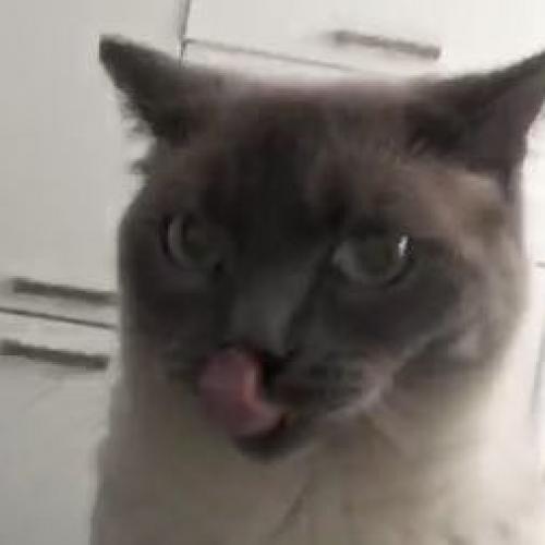 สมาชิกหมายเลข 2163826