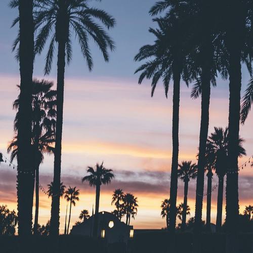 สมาชิกหมายเลข 3225283