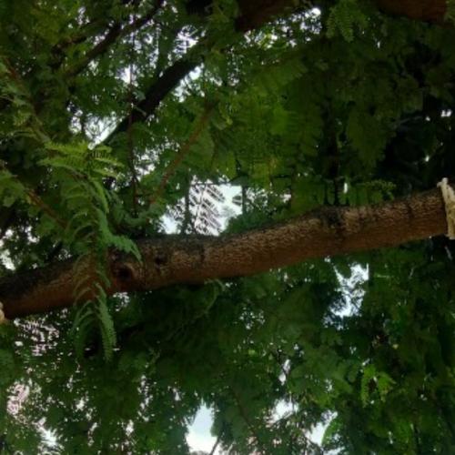 สมาชิกหมายเลข 5737274