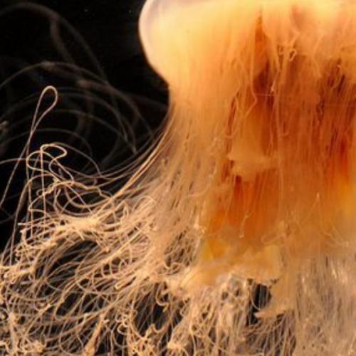 สมาชิกหมายเลข 5737323