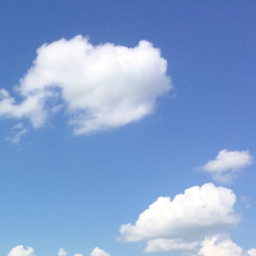 สมาชิกหมายเลข 5737563