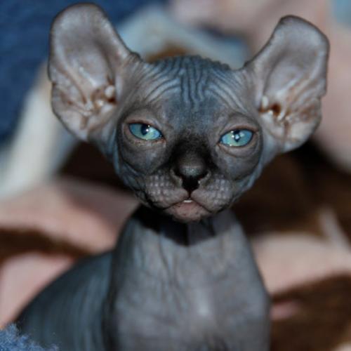 สมาชิกหมายเลข 5868623