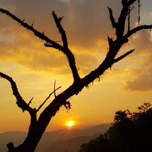 ไม่อยากคุยกับใคร