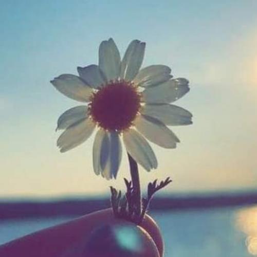 สมาชิกหมายเลข 1580347