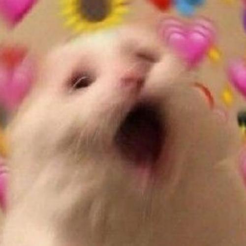 สมาชิกหมายเลข 6531693