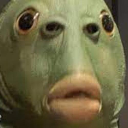 สมาชิกหมายเลข 7003088