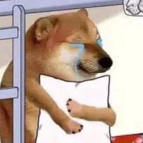 สมาชิกหมายเลข 7707142