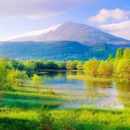 สมาชิกหมายเลข 4128348