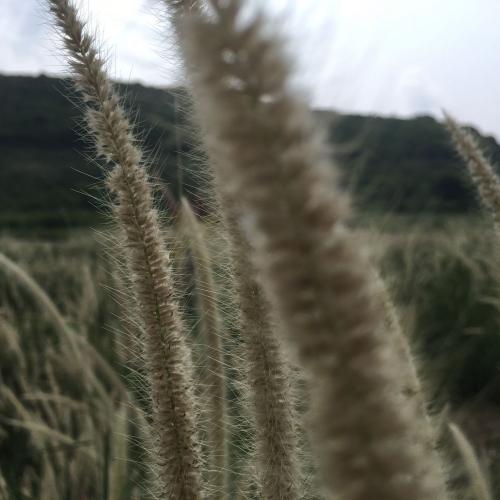 สมาชิกหมายเลข 2652685