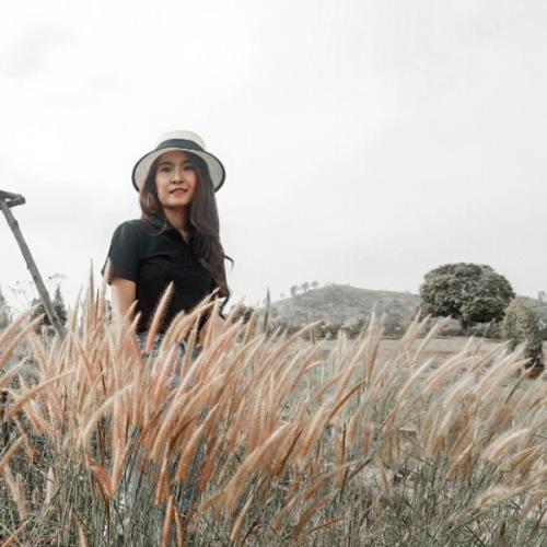 สมาชิกหมายเลข 3732280