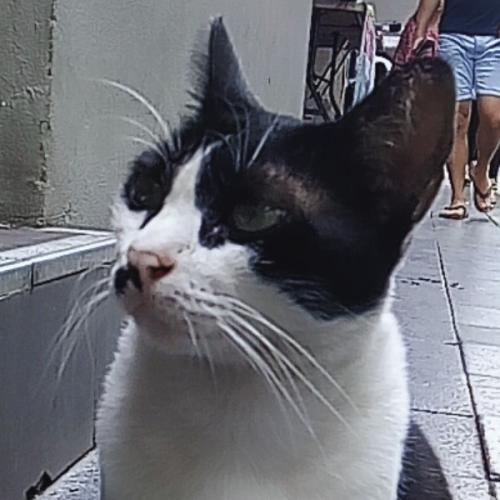 สมาชิกหมายเลข 6324032