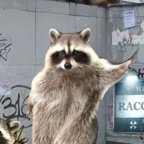 สมาชิกหมายเลข 7770054