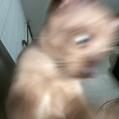 สมาชิกหมายเลข 7770682