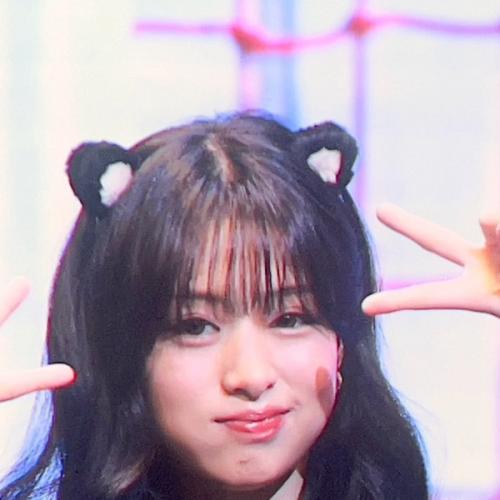 สมาชิกหมายเลข 6577362