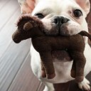 สมาชิกหมายเลข 3969387