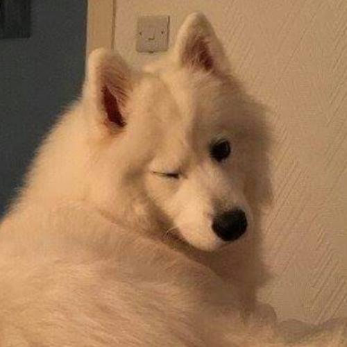 สมาชิกหมายเลข 3113525